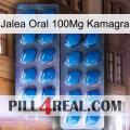 Oral Jelly 100Mg Kamagra viagra2